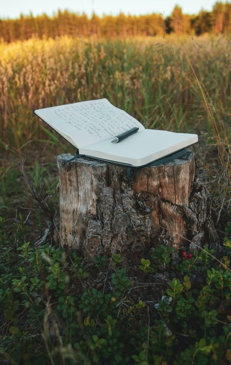 Cahier et arbre - Création site internet Lorient Morbihan Petit Budget